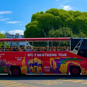 Split Bus Tour with Open Top