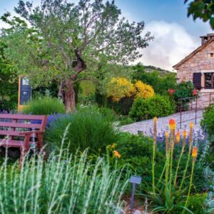 الخط الأخضر